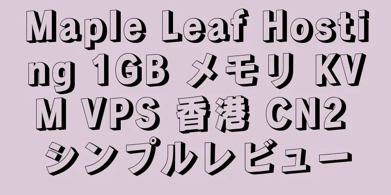 Maple Leaf Hosting 1GB メモリ KVM VPS 香港 CN2 シンプルレビュー