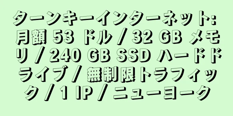 ターンキーインターネット: 月額 53 ドル / 32 GB メモリ / 240 GB SSD ハードドライブ / 無制限トラフィック / 1 IP / ニューヨーク