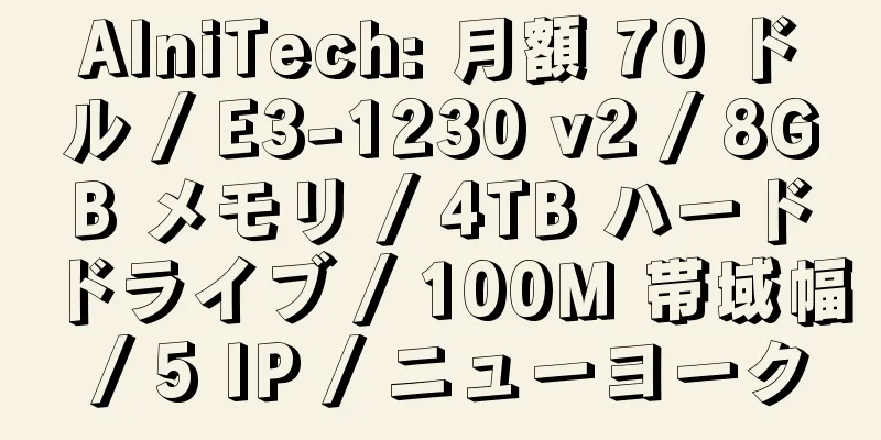 AlniTech: 月額 70 ドル / E3-1230 v2 / 8GB メモリ / 4TB ハードドライブ / 100M 帯域幅 / 5 IP / ニューヨーク