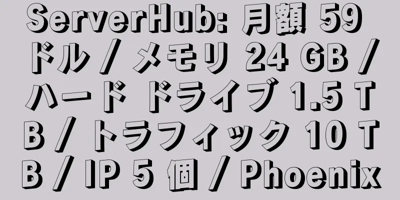 ServerHub: 月額 59 ドル / メモリ 24 GB / ハード ドライブ 1.5 TB / トラフィック 10 TB / IP 5 個 / Phoenix