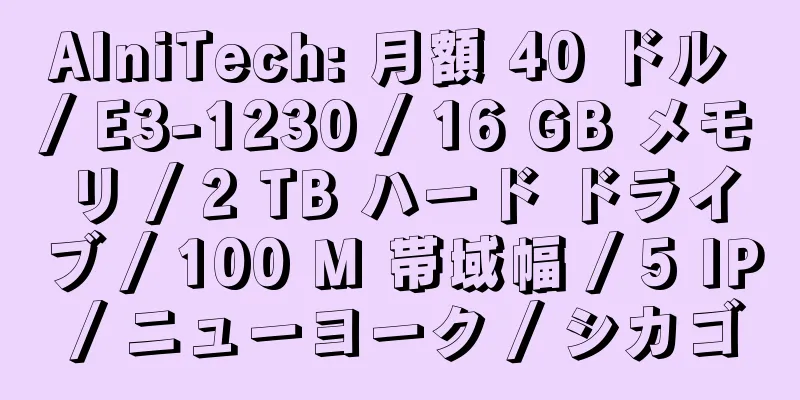 AlniTech: 月額 40 ドル / E3-1230 / 16 GB メモリ / 2 TB ハード ドライブ / 100 M 帯域幅 / 5 IP / ニューヨーク / シカゴ