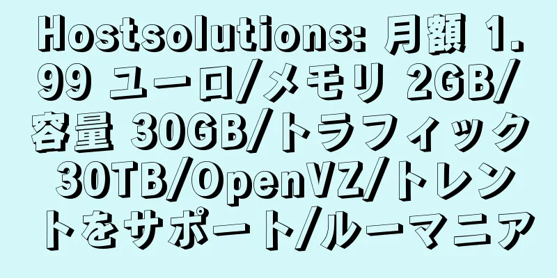 Hostsolutions: 月額 1.99 ユーロ/メモリ 2GB/容量 30GB/トラフィック 30TB/OpenVZ/トレントをサポート/ルーマニア