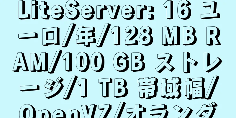 LiteServer: 16 ユーロ/年/128 MB RAM/100 GB ストレージ/1 TB 帯域幅/OpenVZ/オランダ