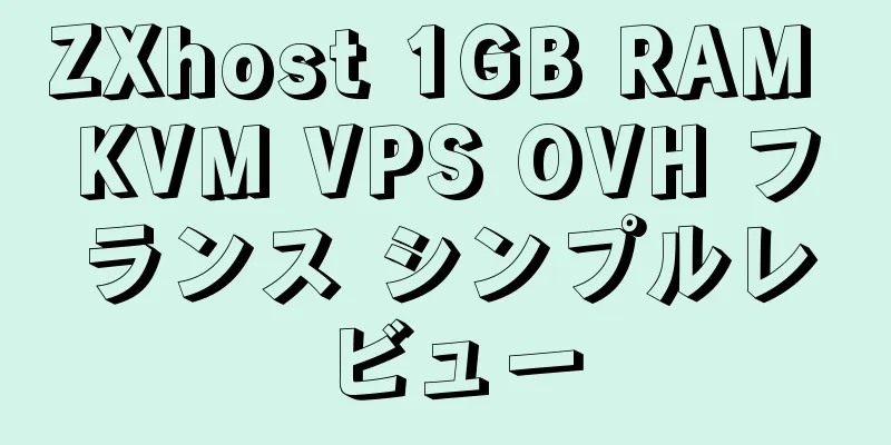 ZXhost 1GB RAM KVM VPS OVH フランス シンプルレビュー