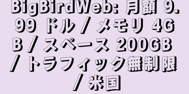 BigBirdWeb: 月額 9.99 ドル / メモリ 4GB / スペース 200GB / トラフィック無制限 / 米国