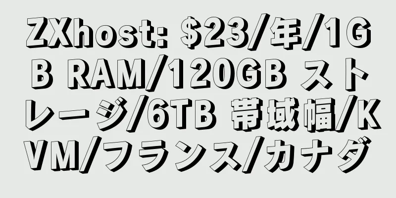 ZXhost: $23/年/1GB RAM/120GB ストレージ/6TB 帯域幅/KVM/フランス/カナダ