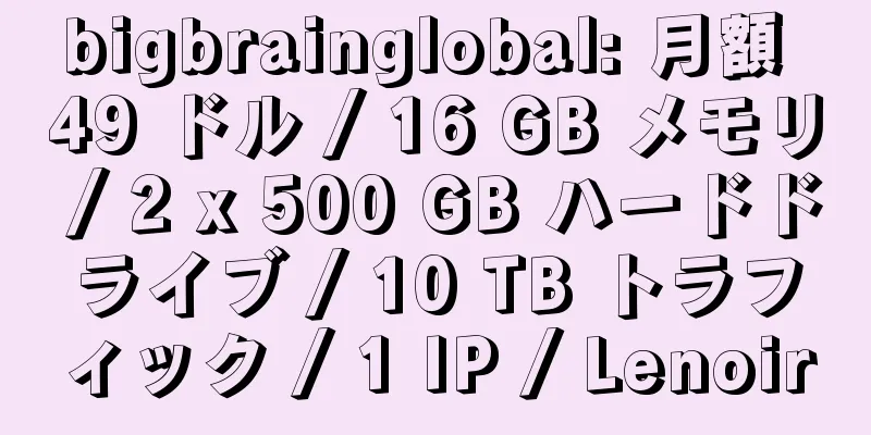 bigbrainglobal: 月額 49 ドル / 16 GB メモリ / 2 x 500 GB ハードドライブ / 10 TB トラフィック / 1 IP / Lenoir