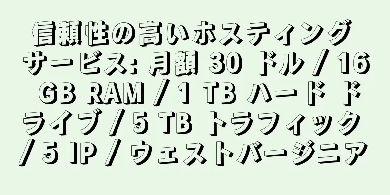 信頼性の高いホスティング サービス: 月額 30 ドル / 16 GB RAM / 1 TB ハード ドライブ / 5 TB トラフィック / 5 IP / ウェストバージニア