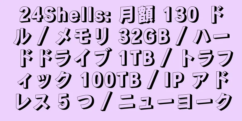 24Shells: 月額 130 ドル / メモリ 32GB / ハードドライブ 1TB / トラフィック 100TB / IP アドレス 5 つ / ニューヨーク