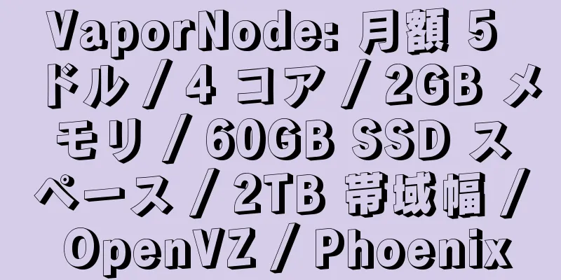 VaporNode: 月額 5 ドル / 4 コア / 2GB メモリ / 60GB SSD スペース / 2TB 帯域幅 / OpenVZ / Phoenix