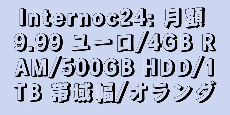 Internoc24: 月額 9.99 ユーロ/4GB RAM/500GB HDD/1TB 帯域幅/オランダ