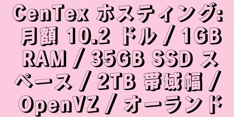 CenTex ホスティング: 月額 10.2 ドル / 1GB RAM / 35GB SSD スペース / 2TB 帯域幅 / OpenVZ / オーランド