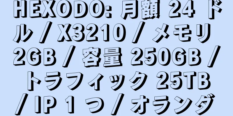 HEXODO: 月額 24 ドル / X3210 / メモリ 2GB / 容量 250GB / トラフィック 25TB / IP 1 つ / オランダ