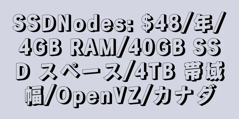 SSDNodes: $48/年/4GB RAM/40GB SSD スペース/4TB 帯域幅/OpenVZ/カナダ