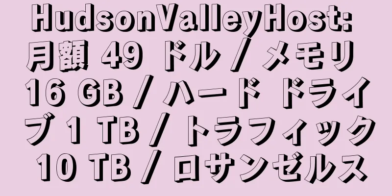 HudsonValleyHost: 月額 49 ドル / メモリ 16 GB / ハード ドライブ 1 TB / トラフィック 10 TB / ロサンゼルス