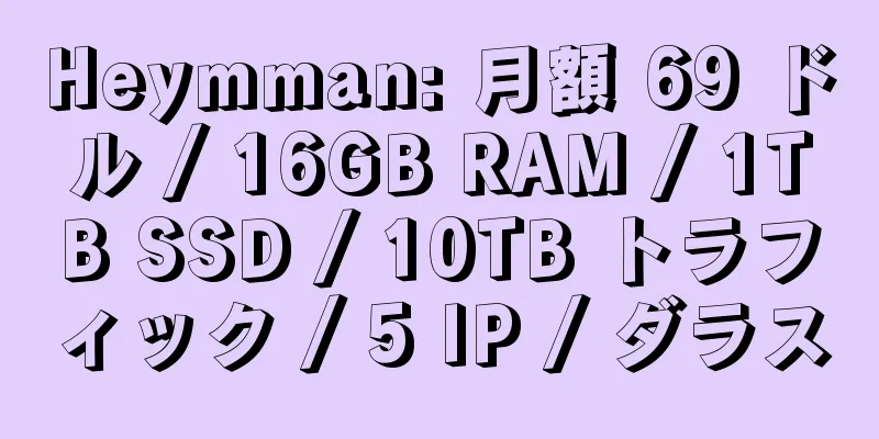 Heymman: 月額 69 ドル / 16GB RAM / 1TB SSD / 10TB トラフィック / 5 IP / ダラス