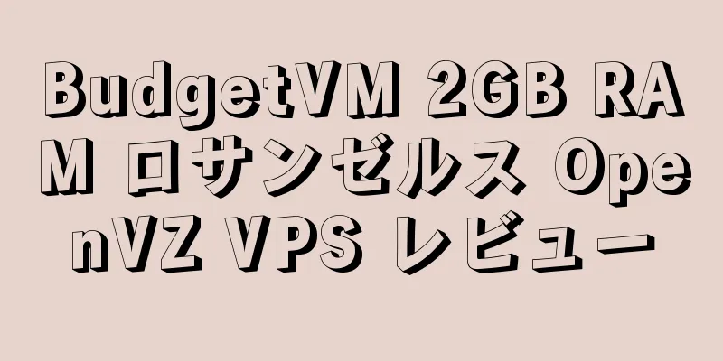 BudgetVM 2GB RAM ロサンゼルス OpenVZ VPS レビュー