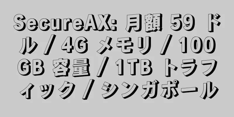 SecureAX: 月額 59 ドル / 4G メモリ / 100GB 容量 / 1TB トラフィック / シンガポール