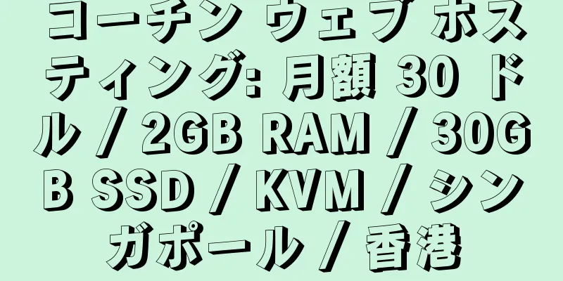 コーチン ウェブ ホスティング: 月額 30 ドル / 2GB RAM / 30GB SSD / KVM / シンガポール / 香港