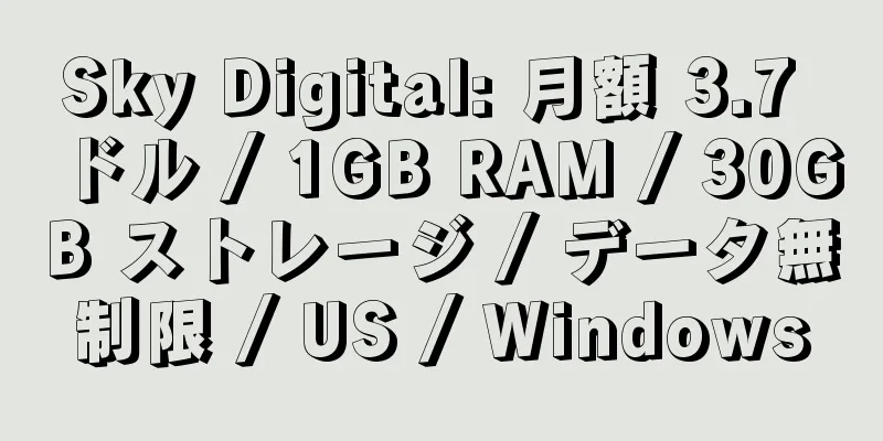 Sky Digital: 月額 3.7 ドル / 1GB RAM / 30GB ストレージ / データ無制限 / US / Windows