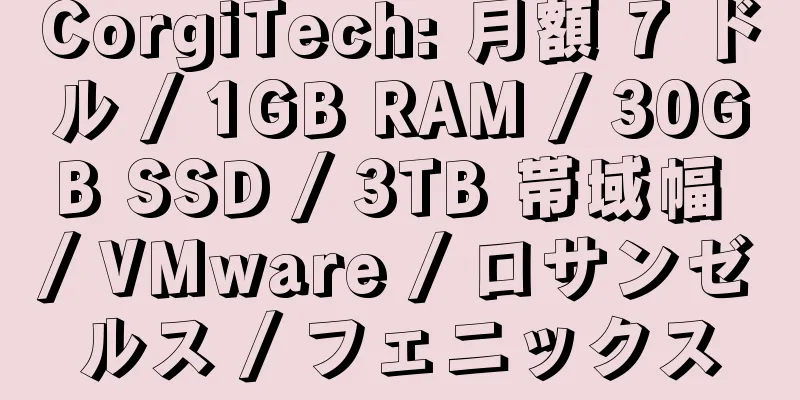 CorgiTech: 月額 7 ドル / 1GB RAM / 30GB SSD / 3TB 帯域幅 / VMware / ロサンゼルス / フェニックス