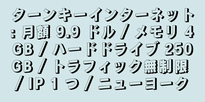 ターンキーインターネット: 月額 9.9 ドル / メモリ 4GB / ハードドライブ 250GB / トラフィック無制限 / IP 1 つ / ニューヨーク