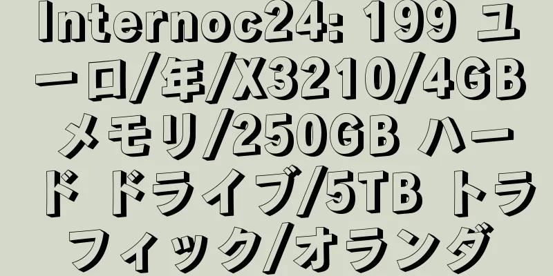 Internoc24: 199 ユーロ/年/X3210/4GB メモリ/250GB ハード ドライブ/5TB トラフィック/オランダ