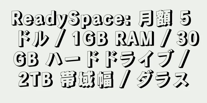 ReadySpace: 月額 5 ドル / 1GB RAM / 30GB ハードドライブ / 2TB 帯域幅 / ダラス