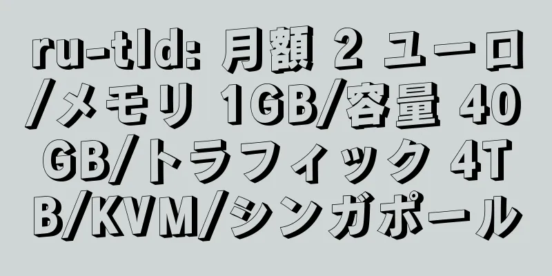 ru-tld: 月額 2 ユーロ/メモリ 1GB/容量 40GB/トラフィック 4TB/KVM/シンガポール