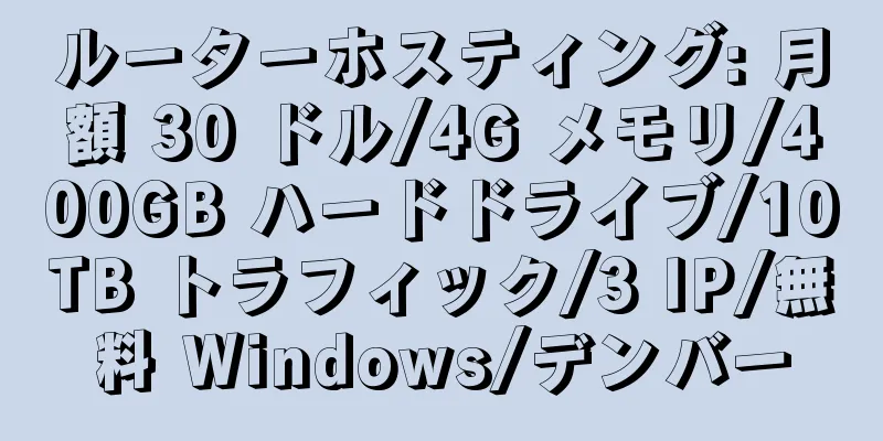 ルーターホスティング: 月額 30 ドル/4G メモリ/400GB ハードドライブ/10TB トラフィック/3 IP/無料 Windows/デンバー