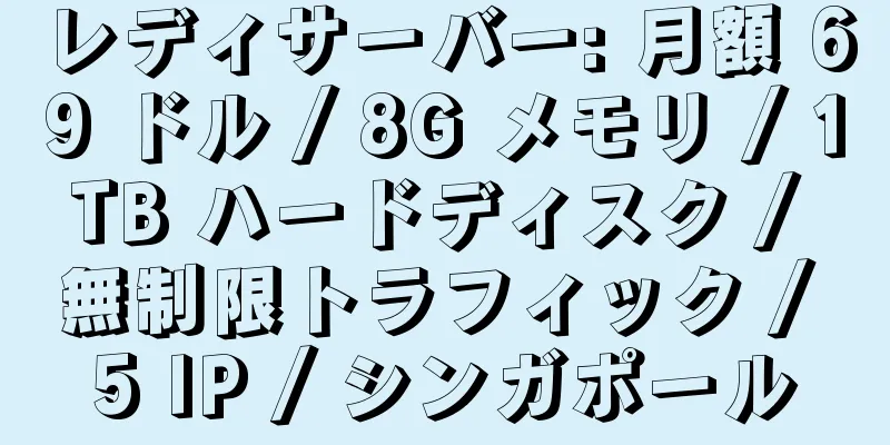 レディサーバー: 月額 69 ドル / 8G メモリ / 1TB ハードディスク / 無制限トラフィック / 5 IP / シンガポール