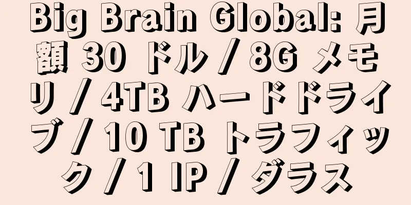 Big Brain Global: 月額 30 ドル / 8G メモリ / 4TB ハードドライブ / 10 TB トラフィック / 1 IP / ダラス