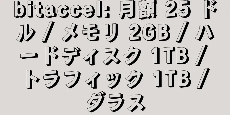 bitaccel: 月額 25 ドル / メモリ 2GB / ハードディスク 1TB / トラフィック 1TB / ダラス