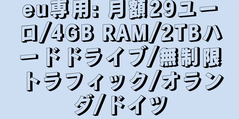 eu専用: 月額29ユーロ/4GB RAM/2TBハードドライブ/無制限トラフィック/オランダ/ドイツ