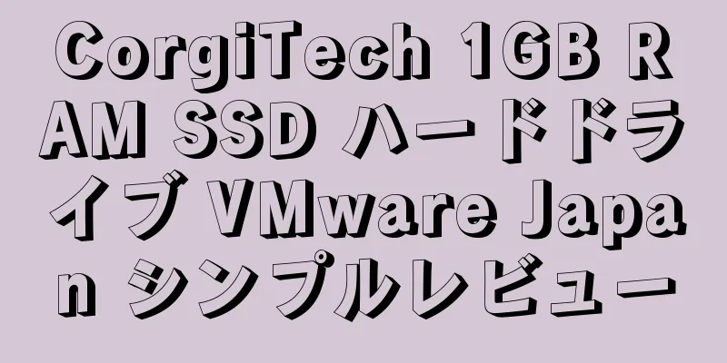 CorgiTech 1GB RAM SSD ハードドライブ VMware Japan シンプルレビュー