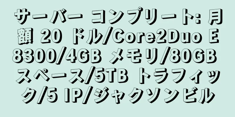 サーバー コンプリート: 月額 20 ドル/Core2Duo E8300/4GB メモリ/80GB スペース/5TB トラフィック/5 IP/ジャクソンビル