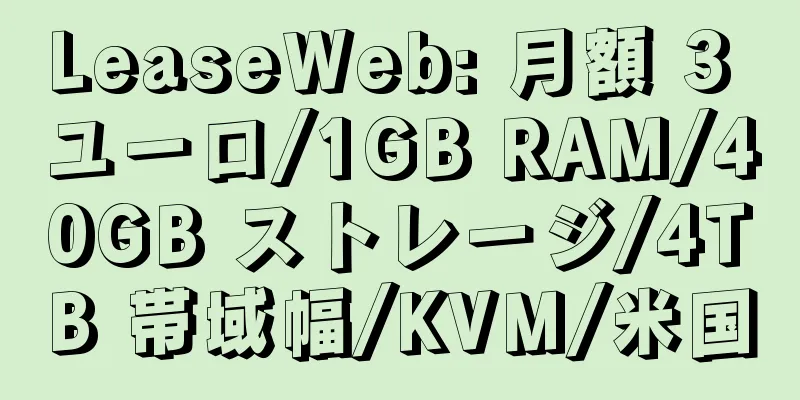 LeaseWeb: 月額 3 ユーロ/1GB RAM/40GB ストレージ/4TB 帯域幅/KVM/米国