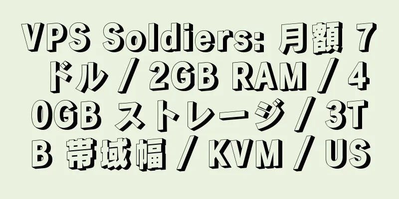 VPS Soldiers: 月額 7 ドル / 2GB RAM / 40GB ストレージ / 3TB 帯域幅 / KVM / US