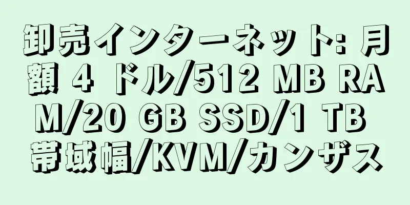 卸売インターネット: 月額 4 ドル/512 MB RAM/20 GB SSD/1 TB 帯域幅/KVM/カンザス