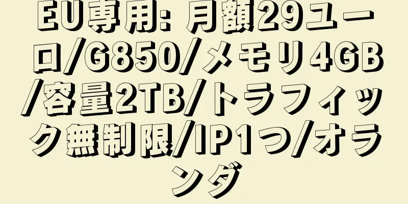 EU専用: 月額29ユーロ/G850/メモリ4GB/容量2TB/トラフィック無制限/IP1つ/オランダ