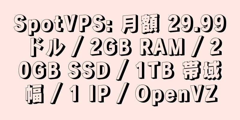 SpotVPS: 月額 29.99 ドル / 2GB RAM / 20GB SSD / 1TB 帯域幅 / 1 IP / OpenVZ