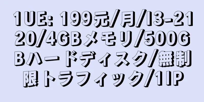 1UE: 199元/月/I3-2120/4GBメモリ/500GBハードディスク/無制限トラフィック/1IP