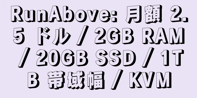 RunAbove: 月額 2.5 ドル / 2GB RAM / 20GB SSD / 1TB 帯域幅 / KVM