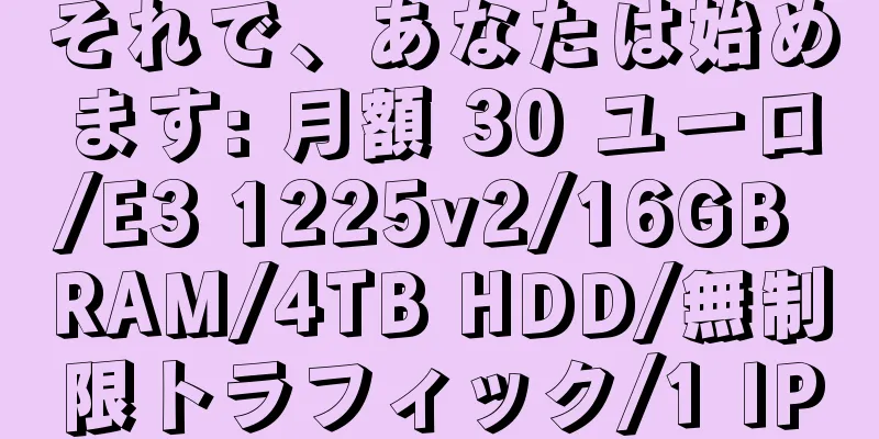 それで、あなたは始めます: 月額 30 ユーロ/E3 1225v2/16GB RAM/4TB HDD/無制限トラフィック/1 IP