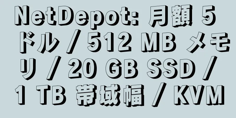 NetDepot: 月額 5 ドル / 512 MB メモリ / 20 GB SSD / 1 TB 帯域幅 / KVM