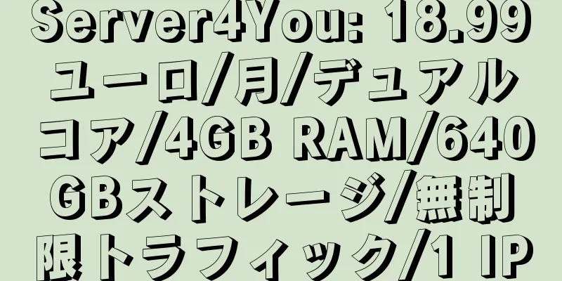 Server4You: 18.99ユーロ/月/デュアルコア/4GB RAM/640GBストレージ/無制限トラフィック/1 IP