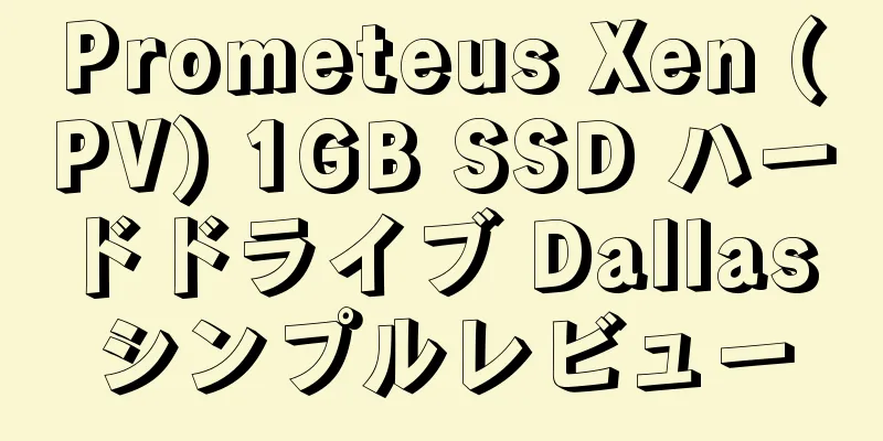 Prometeus Xen (PV) 1GB SSD ハードドライブ Dallas シンプルレビュー