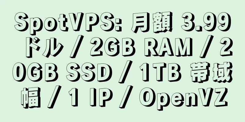 SpotVPS: 月額 3.99 ドル / 2GB RAM / 20GB SSD / 1TB 帯域幅 / 1 IP / OpenVZ