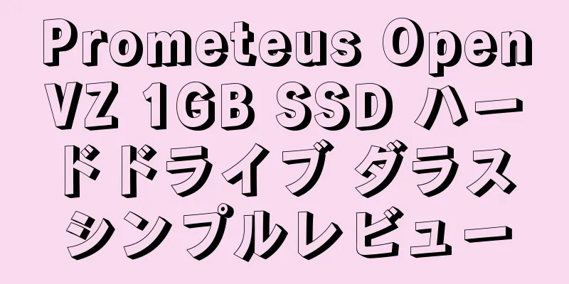 Prometeus OpenVZ 1GB SSD ハードドライブ ダラス シンプルレビュー