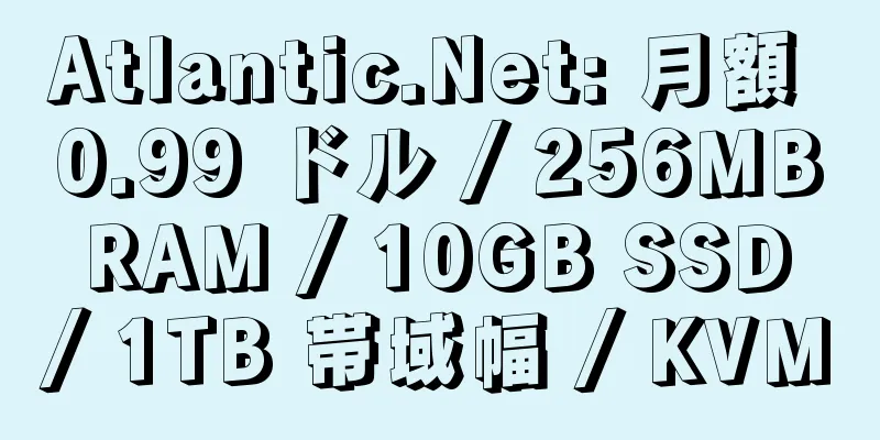 Atlantic.Net: 月額 0.99 ドル / 256MB RAM / 10GB SSD / 1TB 帯域幅 / KVM